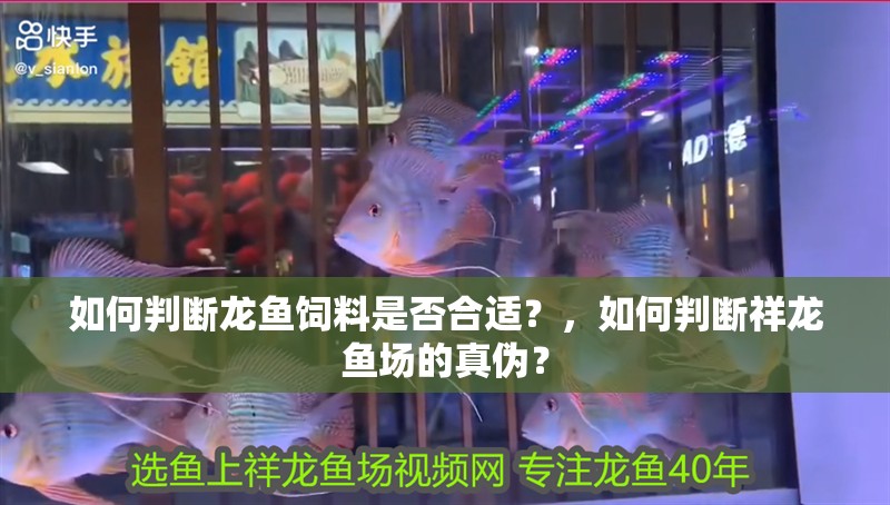 如何判斷龍魚飼料是否合適？，如何判斷祥龍魚場的真偽？