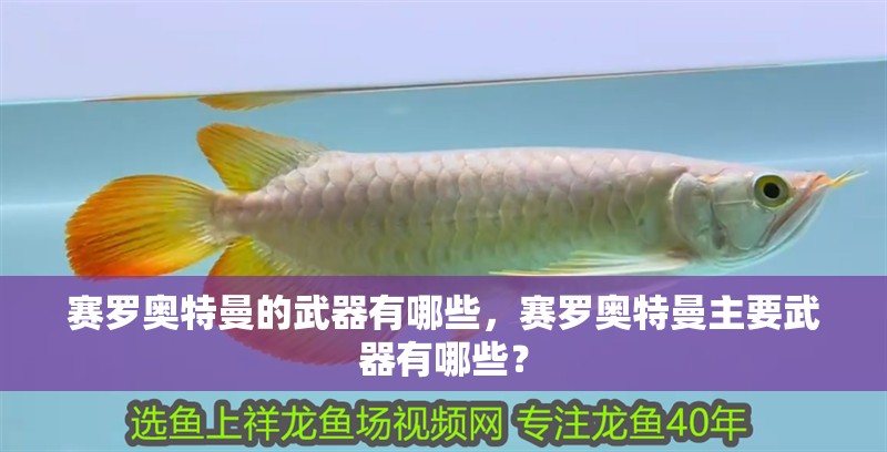 賽羅奧特曼的武器有哪些，賽羅奧特曼主要武器有哪些？