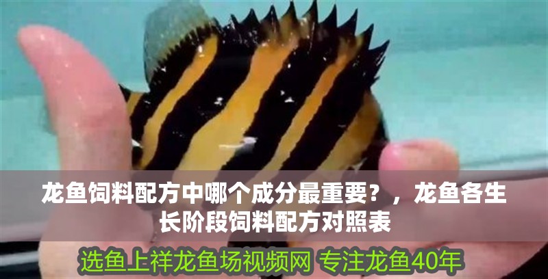 龍魚飼料配方中哪個成分最重要？，龍魚各生長階段飼料配方對照表
