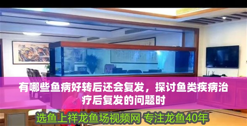 有哪些魚病好轉后還會復發，探討魚類疾病治療后復發的問題時