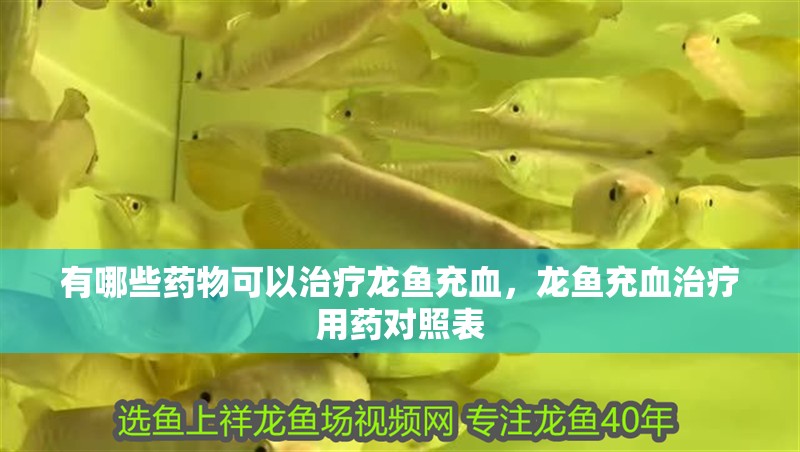 有哪些藥物可以治療龍魚充血，龍魚充血治療用藥對照表