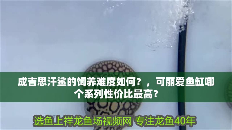 成吉思汗鯊的飼養(yǎng)難度如何？，可麗愛魚缸哪個系列性價比最高？