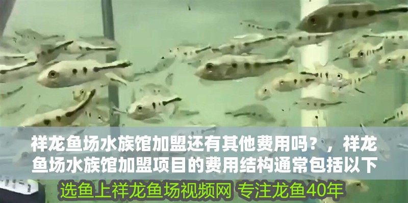 祥龍魚場水族館加盟還有其他費用嗎？，祥龍魚場水族館加盟項目的費用結(jié)構(gòu)通常包括以下幾個方面