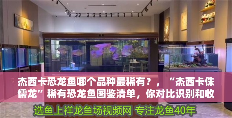 杰西卡恐龍魚哪個品種最稀有？，“杰西卡侏儒龍”稀有恐龍魚圖鑒清單，你對比識別和收藏參考