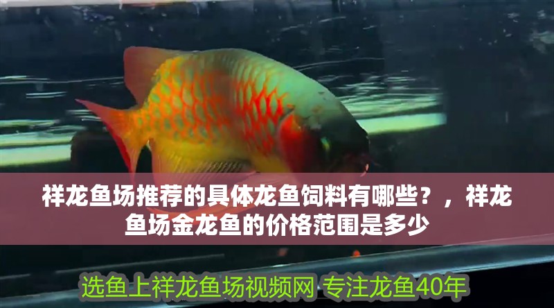祥龍魚場推薦的具體龍魚飼料有哪些？，祥龍魚場金龍魚的價(jià)格范圍是多少