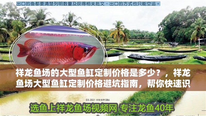 祥龍魚場的大型魚缸定制價格是多少？，祥龍魚場大型魚缸定制價格避坑指南，幫你快速識別成本