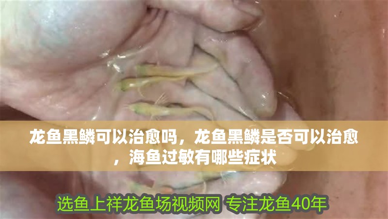龍魚黑鱗可以治愈嗎，龍魚黑鱗是否可以治愈，海魚過敏有哪些癥狀