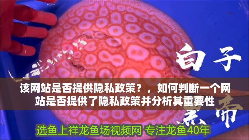該網站是否提供隱私政策？，如何判斷一個網站是否提供了隱私政策并分析其重要性