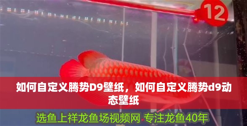 如何自定義騰勢D9壁紙，如何自定義騰勢d9動態壁紙