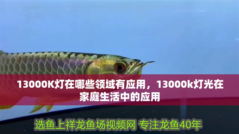13000K燈在哪些領(lǐng)域有應(yīng)用，13000k燈光在家庭生活中的應(yīng)用