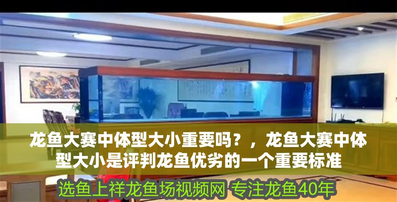 龍魚大賽中體型大小重要嗎？，龍魚大賽中體型大小是評判龍魚優劣的一個重要標準