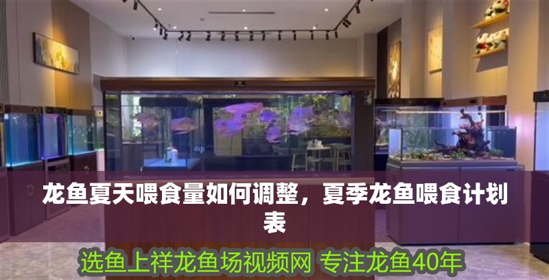 龍魚夏天喂食量如何調整，夏季龍魚喂食計劃表