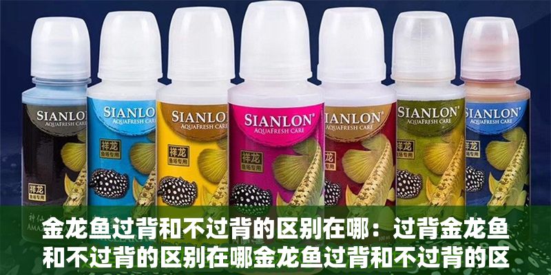 金龍魚過背和不過背的區別在哪：過背金龍魚和不過背的區別在哪金龍魚過背和不過背的區別在哪