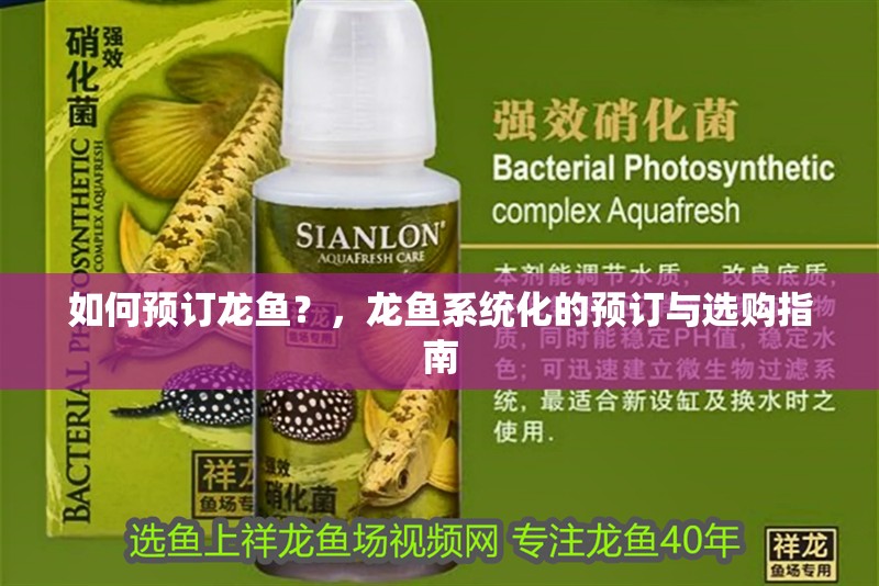 如何預訂龍魚？，龍魚系統(tǒng)化的預訂與選購指南