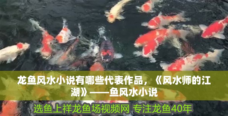 龍魚風水小說有哪些代表作品，《風水師的江湖》——魚風水小說