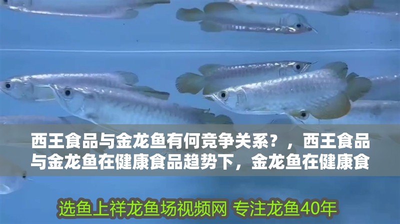 西王食品與金龍魚有何競爭關系？，西王食品與金龍魚在健康食品趨勢下，金龍魚在健康食品趨勢下