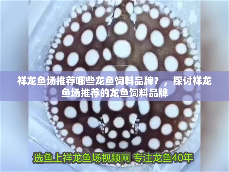 祥龍魚場推薦哪些龍魚飼料品牌？，探討祥龍魚場推薦的龍魚飼料品牌 祥龍魚場推薦哪些龍魚飼料品牌？，探討祥龍魚場推薦的龍魚飼料品牌 龍魚百科