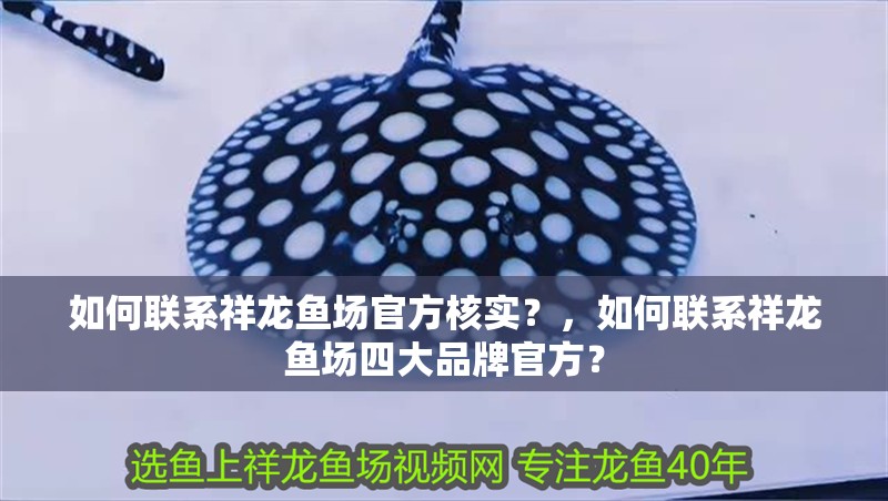 如何聯系祥龍魚場官方核實？，如何聯系祥龍魚場四大品牌官方？