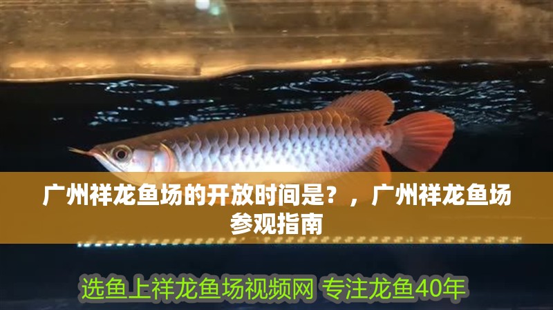 廣州祥龍魚場的開放時間是？，廣州祥龍魚場參觀指南