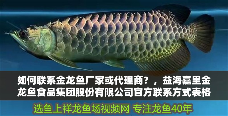 如何聯系金龍魚廠家或代理商？，益海嘉里金龍魚食品集團股份有限公司官方聯系方式表格