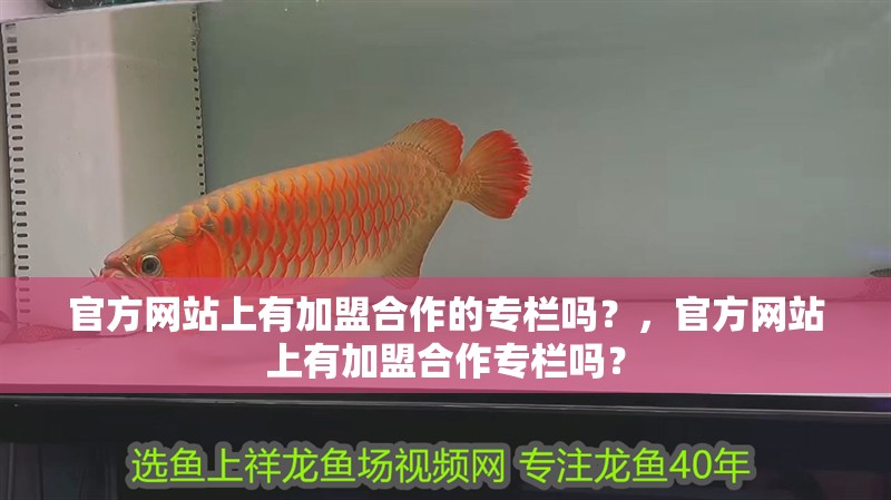 官方網(wǎng)站上有加盟合作的專欄嗎？，官方網(wǎng)站上有加盟合作專欄嗎？ 官方網(wǎng)站上有加盟合作的專欄嗎？，官方網(wǎng)站上有加盟合作專欄嗎？ 龍魚百科
