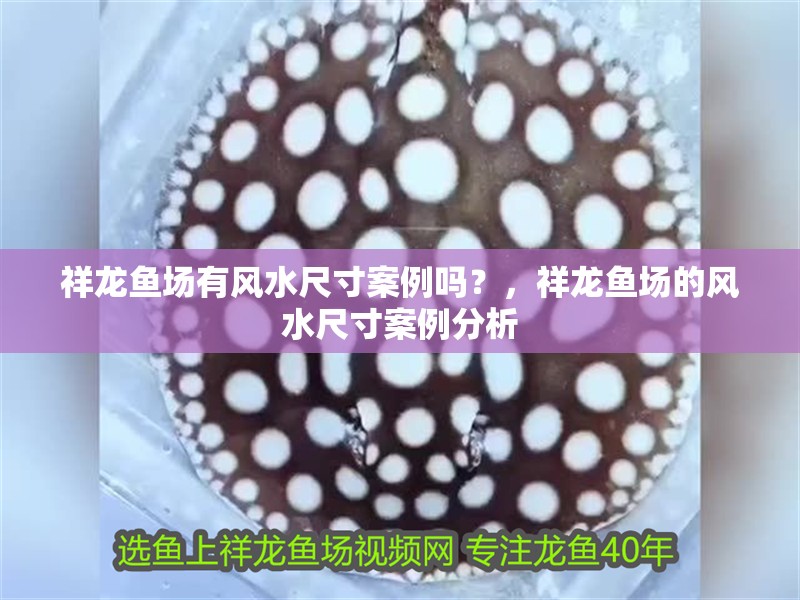 祥龍魚場有風水尺寸案例嗎？，祥龍魚場的風水尺寸案例分析 祥龍魚場有風水尺寸案例嗎？，祥龍魚場的風水尺寸案例分析 龍魚百科