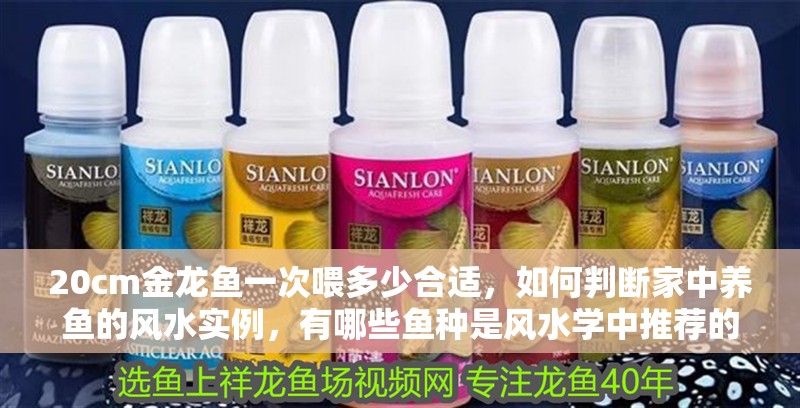 20cm金龍魚一次喂多少合適，如何判斷家中養(yǎng)魚的風(fēng)水實(shí)例，有哪些魚種是風(fēng)水學(xué)中推薦的？