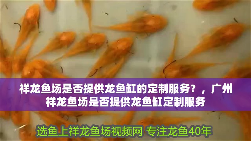 祥龍魚場是否提供龍魚缸的定制服務？，廣州祥龍魚場是否提供龍魚缸定制服務