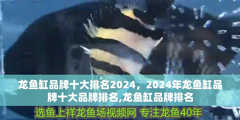 龍魚缸品牌十大排名2024，2024年龍魚缸品牌十大品牌排名,龍魚缸品牌排名