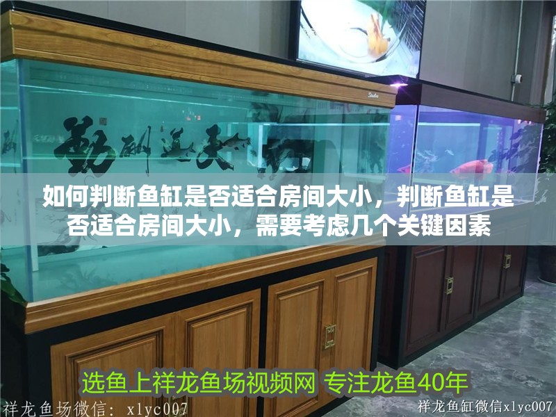 詳細(xì)閱讀:如何判斷魚缸是否適合房間大小,判斷魚缸是否適合房間大小,需要考慮幾個(gè)關(guān)鍵因素 如何判斷魚缸是否適合房間大小,判斷魚缸是否適合房間大小,需要考慮幾個(gè)關(guān)鍵因素
