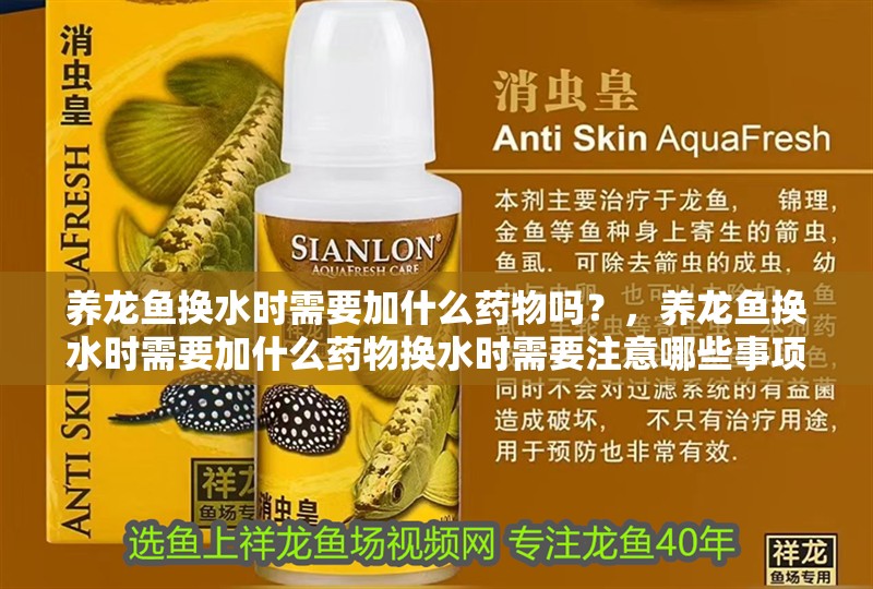 養龍魚換水時需要加什么藥物嗎？，養龍魚換水時需要加什么藥物換水時需要注意哪些事項 養龍魚換水時需要加什么藥物嗎？，養龍魚換水時需要加什么藥物換水時需要注意哪些事項 龍魚百科