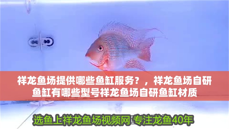 祥龍魚場提供哪些魚缸服務？，祥龍魚場自研魚缸有哪些型號祥龍魚場自研魚缸材質
