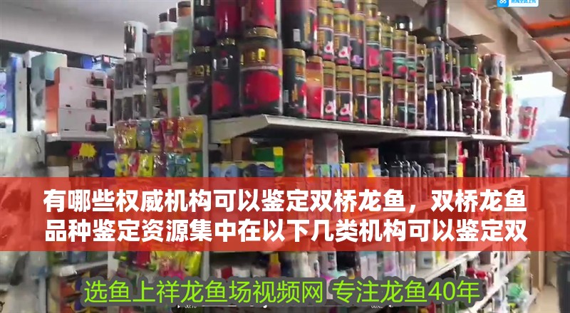 有哪些權威機構可以鑒定雙橋龍魚，雙橋龍魚品種鑒定資源集中在以下幾類機構可以鑒定雙橋龍魚