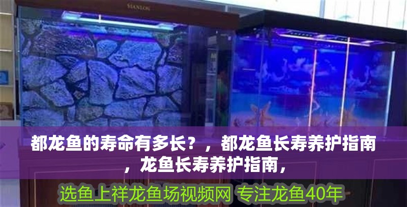都龍魚的壽命有多長？，都龍魚長壽養(yǎng)護(hù)指南，龍魚長壽養(yǎng)護(hù)指南， 都龍魚的壽命有多長？，都龍魚長壽養(yǎng)護(hù)指南，龍魚長壽養(yǎng)護(hù)指南， 龍魚百科