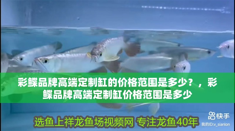 彩鰈品牌高端定制缸的價格范圍是多少？，彩鰈品牌高端定制缸價格范圍是多少