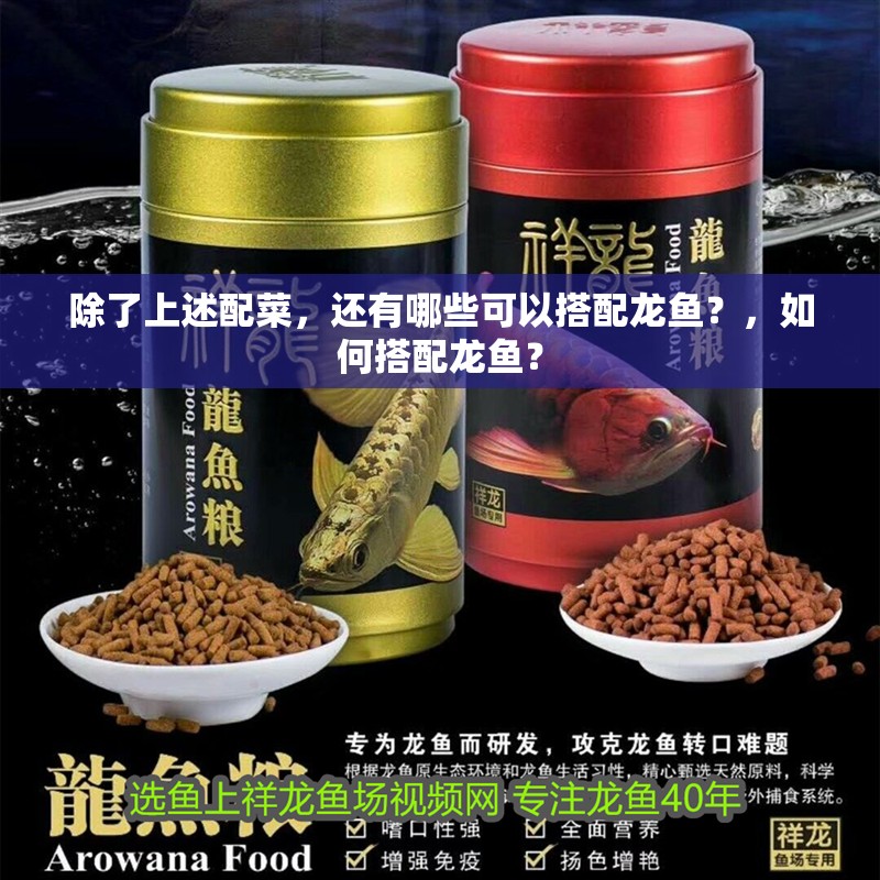 除了上述配菜，還有哪些可以搭配龍魚？，如何搭配龍魚？