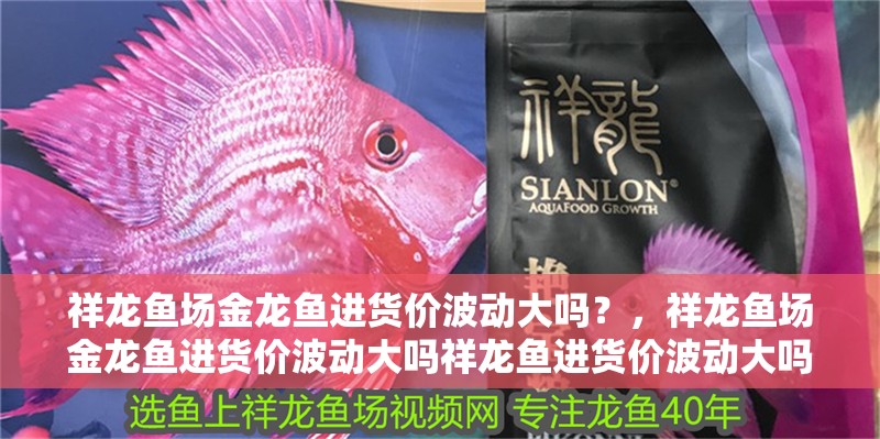 祥龍魚場金龍魚進(jìn)貨價波動大嗎？，祥龍魚場金龍魚進(jìn)貨價波動大嗎祥龍魚進(jìn)貨價波動大嗎