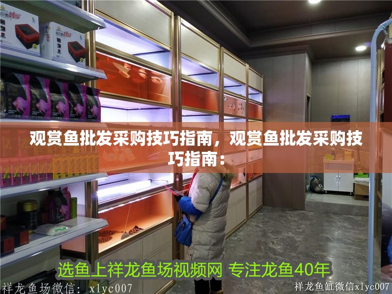 魚缸用增氧泵價格是多少:魚缸增氧機-xtrac增氧機-xtrac增氧機 觀賞魚批發采購技巧指南,觀賞魚批發采購技巧指南: 龍魚百科 觀賞魚批發采購技巧指南,觀賞魚批發采購技巧指南: 觀賞魚批發采購技巧指南,觀賞魚批發采購技巧指南: 龍魚百科