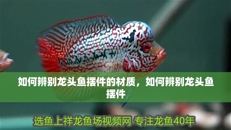如何辨別龍頭魚擺件的材質(zhì)，如何辨別龍頭魚擺件