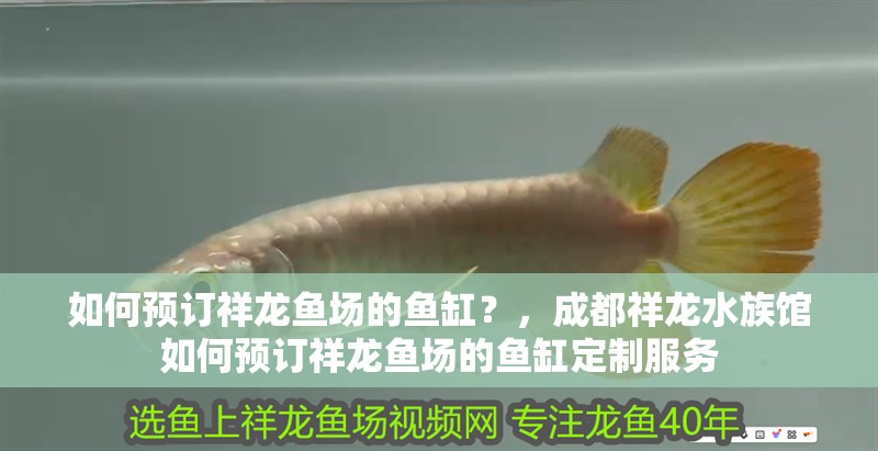 如何預訂祥龍魚場的魚缸？，成都祥龍水族館如何預訂祥龍魚場的魚缸定制服務