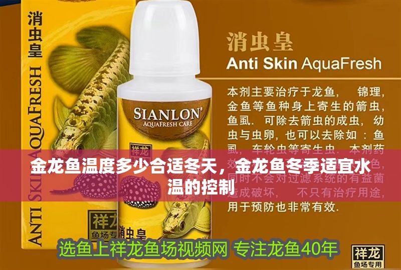 金龍魚(yú)溫度多少合適冬天，金龍魚(yú)冬季適宜水溫的控制