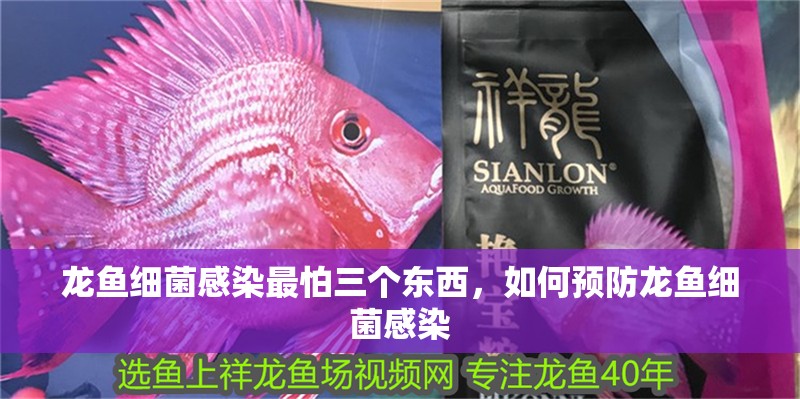 龍魚細菌感染最怕三個東西，如何預防龍魚細菌感染 龍魚細菌感染最怕三個東西，如何預防龍魚細菌感染 龍魚百科