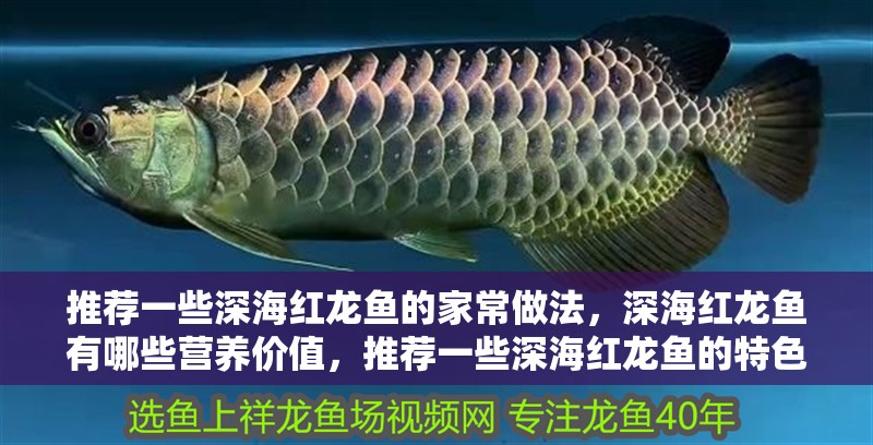 推薦一些深海紅龍魚的家常做法，深海紅龍魚有哪些營養價值，推薦一些深海紅龍魚的特色做法