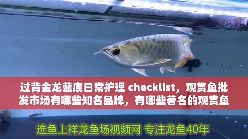 過背金龍藍底日常護理 checklist，觀賞魚批發(fā)市場有哪些知名品牌，有哪些著名的觀賞魚批發(fā)市場？