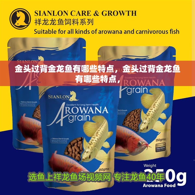 金頭過背金龍魚有哪些特點，金頭過背金龍魚有哪些特點，