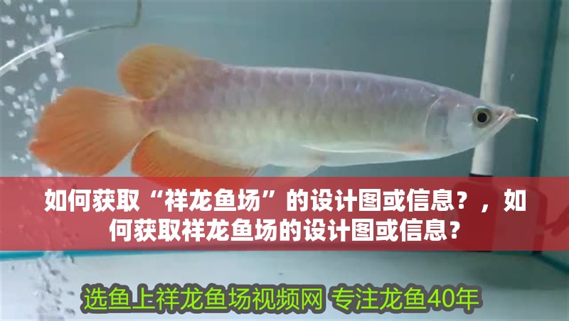 如何獲取“祥龍魚場”的設計圖或信息？，如何獲取祥龍魚場的設計圖或信息？