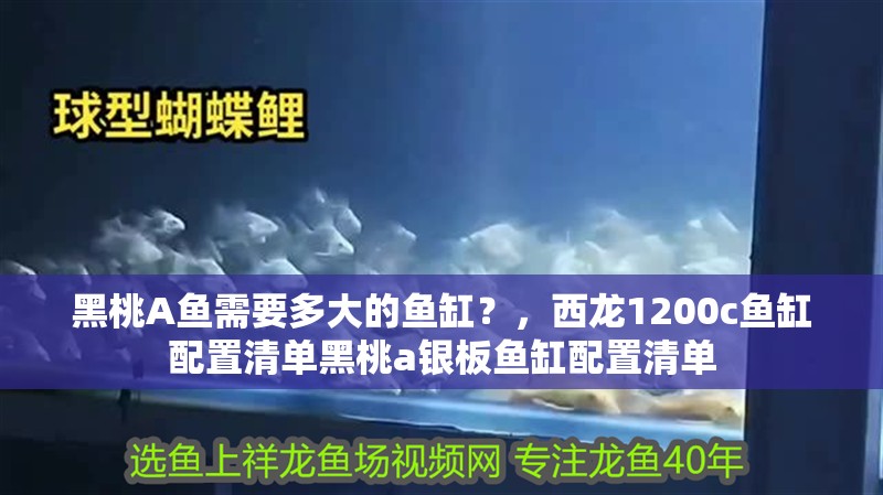 黑桃A魚需要多大的魚缸？，西龍1200c魚缸配置清單黑桃a銀板魚缸配置清單