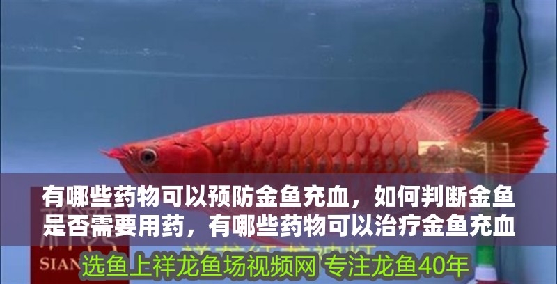 有哪些藥物可以預防金魚充血，如何判斷金魚是否需要用藥，有哪些藥物可以治療金魚充血
