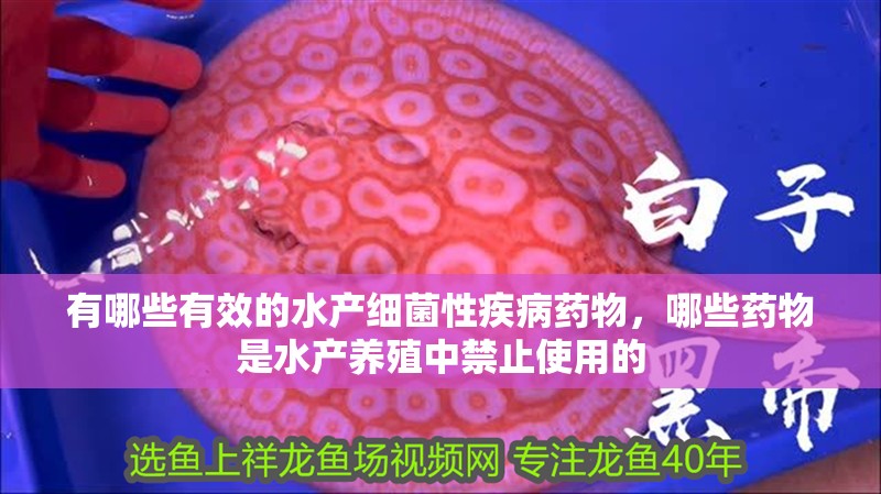 有哪些有效的水產細菌性疾病藥物，哪些藥物是水產養殖中禁止使用的