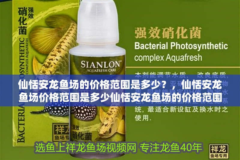 仙恬安龍魚場的價格范圍是多少？，仙恬安龍魚場價格范圍是多少仙恬安龍魚場的價格范圍是多少